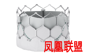 意意测试新闻